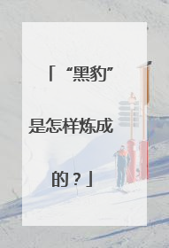 “黑豹”是怎样炼成的？