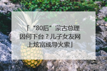 “80后”蒙古总理因何下台?儿子女友网上炫富成导火索