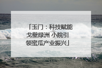 玉门：科技赋能戈壁绿洲 小院引领蜜瓜产业振兴