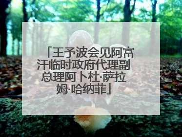 王予波会见阿富汗临时政府代理副总理阿卜杜·萨拉姆·哈纳菲