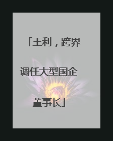 王利，跨界调任大型国企董事长