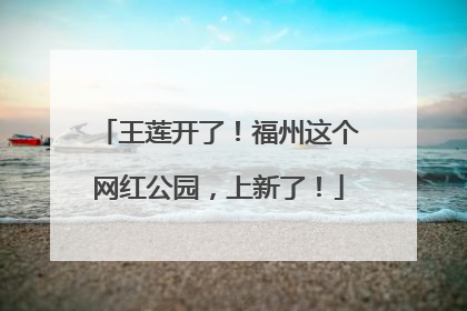 王莲开了！福州这个网红公园，上新了！