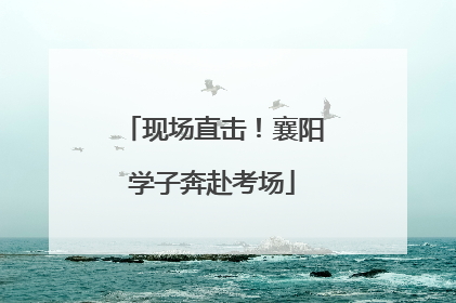 现场直击！襄阳学子奔赴考场