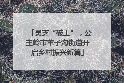 灵芝“破土”，公主岭市苇子沟街道开启乡村振兴新篇