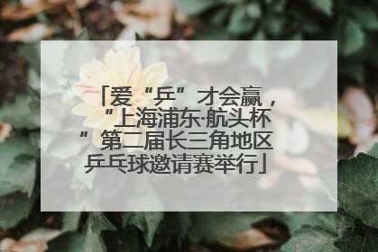 爱“乒”才会赢，“上海浦东·航头杯”第二届长三角地区乒乓球邀请赛举行