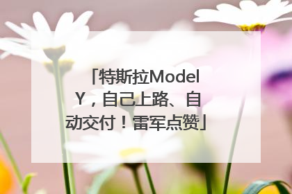 特斯拉Model Y，自己上路、自动交付！雷军点赞