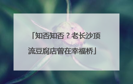 知否知否？老长沙顶流豆腐店曾在幸福桥