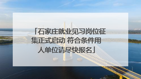 石家庄就业见习岗位征集正式启动 符合条件用人单位请尽快报名