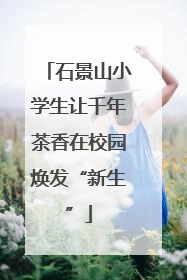 石景山小学生让千年茶香在校园焕发“新生”