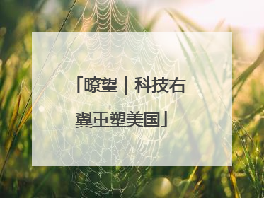 瞭望｜科技右翼重塑美国