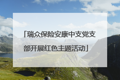 瑞众保险安康中支党支部开展红色主题活动