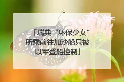 瑞典“环保少女”所乘前往加沙船只被以军登船控制