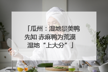 瓜州：湿地景美鸭先知 赤麻鸭为荒漠湿地“上大分”