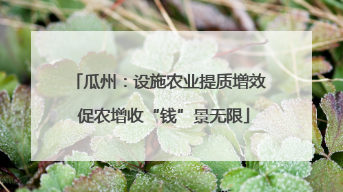 瓜州：设施农业提质增效 促农增收“钱”景无限