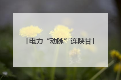 电力“动脉”连陕甘
