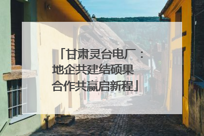 甘肃灵台电厂：地企共建结硕果 合作共赢启新程