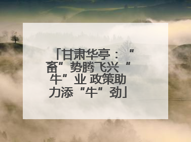 甘肃华亭：“畜”势腾飞兴“牛”业 政策助力添“牛”劲