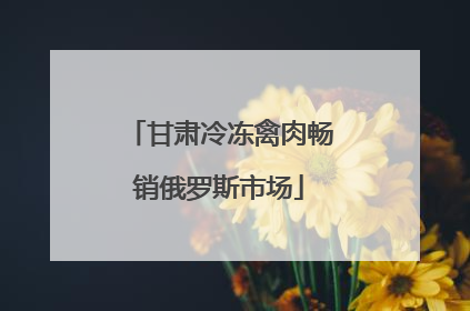 甘肃冷冻禽肉畅销俄罗斯市场