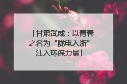 甘肃武威：以青春之名为“陇电入浙”注入环保力量