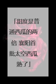 甜度是普通西瓜的两倍 襄阳首批太空西瓜熟了