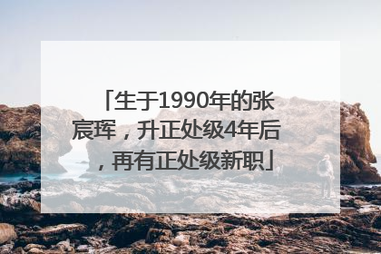 生于1990年的张宸珲，升正处级4年后，再有正处级新职
