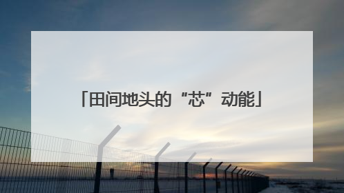 田间地头的“芯”动能
