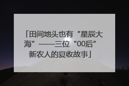 田间地头也有“星辰大海”——三位“00后”新农人的夏收故事