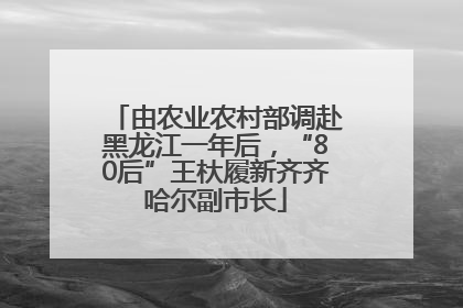由农业农村部调赴黑龙江一年后，“80后”王杕履新齐齐哈尔副市长