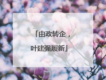 由政转企，叶建强履新