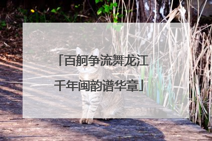 百舸争流舞龙江 千年闽韵谱华章
