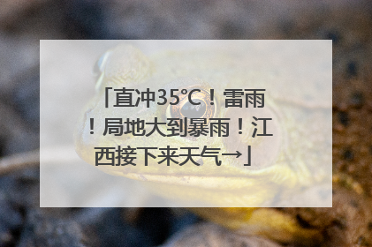 直冲35℃！雷雨！局地大到暴雨！江西接下来天气→