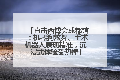直击西博会成都馆：机器狗炫舞、手术机器人展现精准，沉浸式体验受热捧