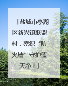 盐城市亭湖区新兴镇联盟村：密织“防火墙”守护蓝天净土