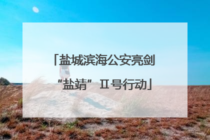 盐城滨海公安亮剑“盐靖”Ⅱ号行动
