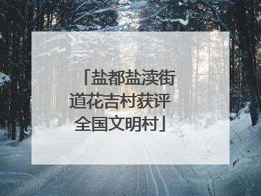 盐都盐渎街道花吉村获评全国文明村