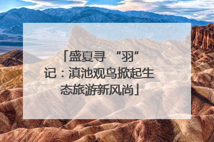 盛夏寻 “羽” 记：滇池观鸟掀起生态旅游新风尚