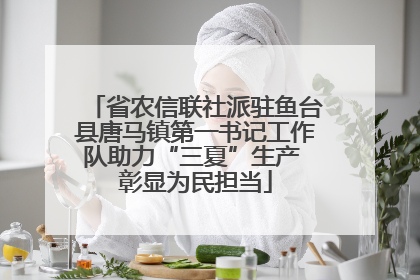 省农信联社派驻鱼台县唐马镇第一书记工作队助力“三夏”生产 彰显为民担当