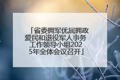 省委拥军优属拥政爱民和退役军人事务工作领导小组2025年全体会议召开