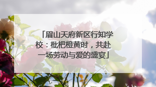 眉山天府新区行知学校：枇杷橙黄时，共赴一场劳动与爱的盛宴