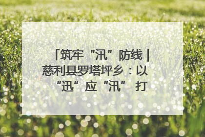 筑牢“汛”防线｜慈利县罗塔坪乡：以“迅”应“汛” 打赢暴雨防御战