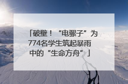 破壁！“电骡子”为774名学生筑起暴雨中的“生命方舟”