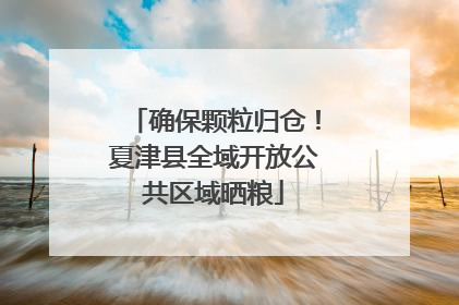 确保颗粒归仓！夏津县全域开放公共区域晒粮