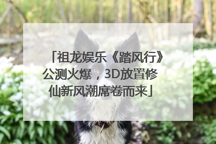 祖龙娱乐《踏风行》公测火爆，3D放置修仙新风潮席卷而来