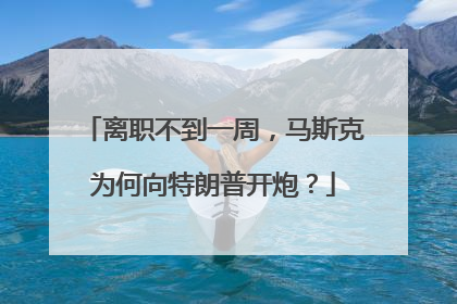 离职不到一周，马斯克为何向特朗普开炮？