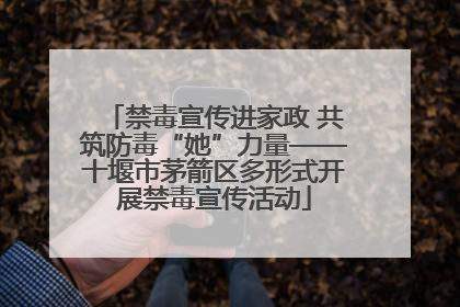 禁毒宣传进家政 共筑防毒“她”力量——十堰市茅箭区多形式开展禁毒宣传活动