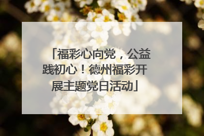 福彩心向党，公益践初心！德州福彩开展主题党日活动