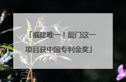 福建唯一！厦门这一项目获中国专利金奖