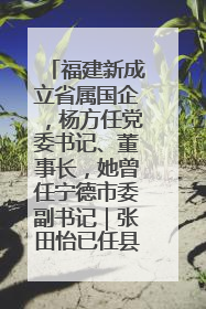 福建新成立省属国企，杨方任党委书记、董事长，她曾任宁德市委副书记｜张田怡已任县委副书记、县政府党组书记