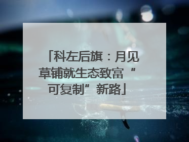科左后旗：月见草铺就生态致富“可复制”新路