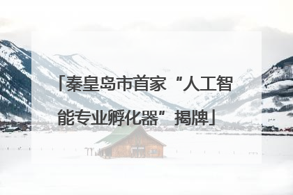 秦皇岛市首家“人工智能专业孵化器”揭牌